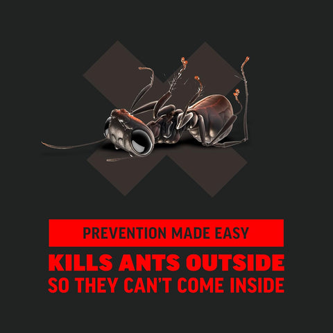 Amdro Ant Killer for Outdoor Home Perimeter