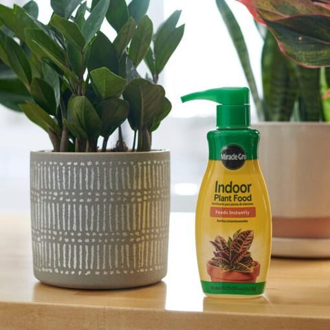 Miracle-Gro BLUEBELLS Indoor Plant Food