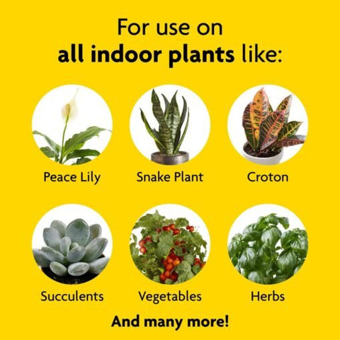 Miracle-Gro BLUEBELLS Indoor Plant Food
